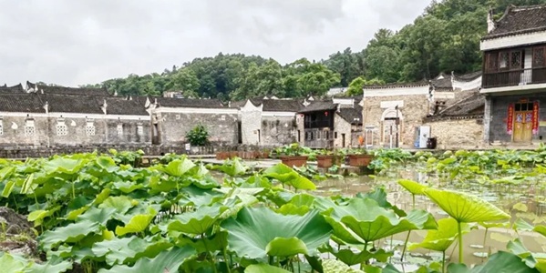 新田县龙家大院
