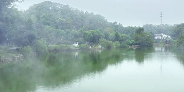 岳阳君山区君山岛景观