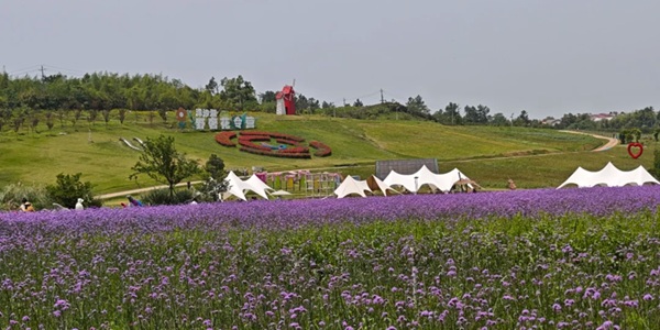 岳阳湘阴县洋沙湖景观