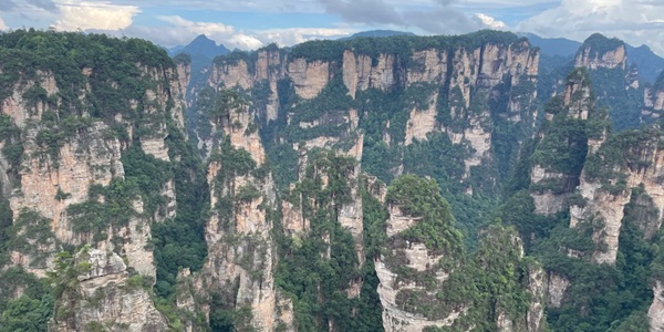 张家界武陵源区袁家界景区峰林景观