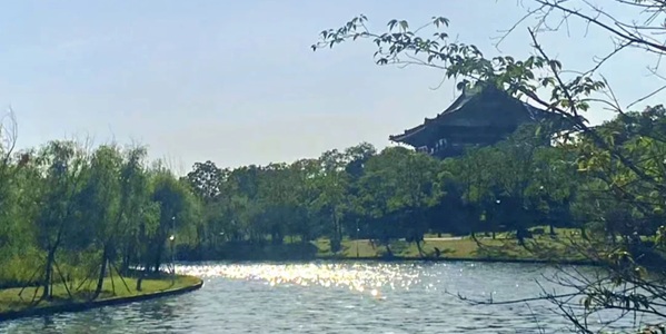 高港区生态公园滨江美景