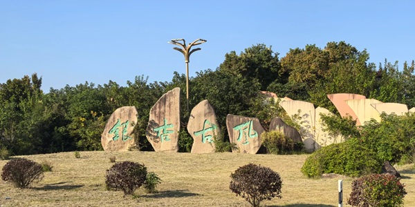 泰兴市古银杏森林公园秋季风光