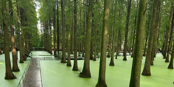 扬州江都区邵伯湖风光