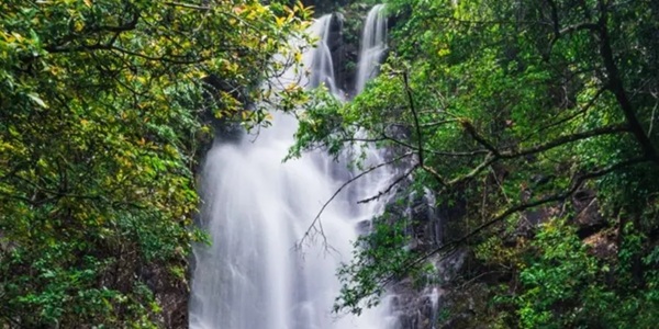 赣州安远县三百山瀑布全景图