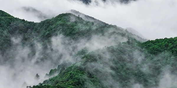 吉安井冈山市黄洋界云海景观