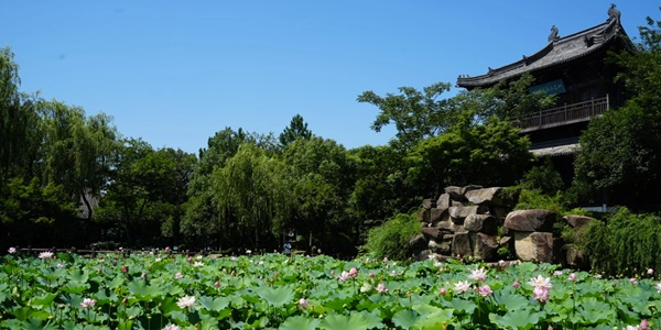 吉安泰和县快阁景观图