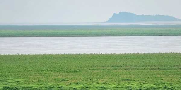 九江都昌县鄱阳湖湿地景观