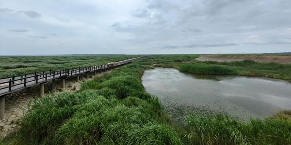 九江永修县鄱阳湖候鸟景观