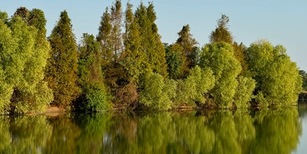 进贤县军山湖风光与大闸蟹