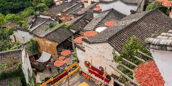 上饶婺源县篁岭景区晒秋景观图