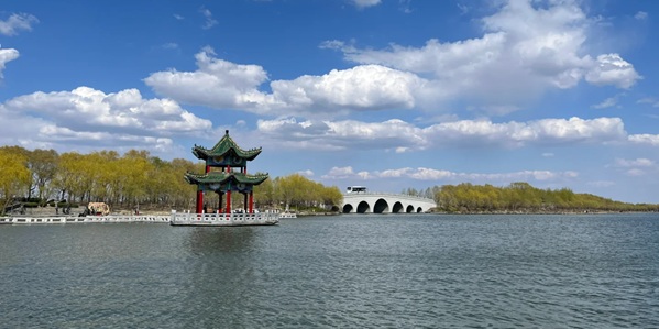 大安市嫩江湾湿地景观