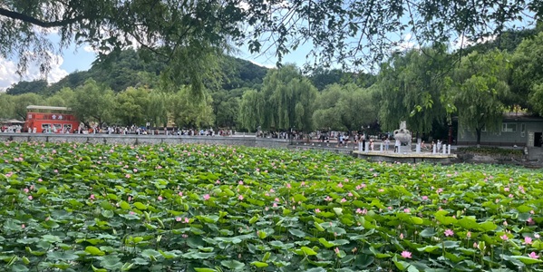 浑江区北山公园景观