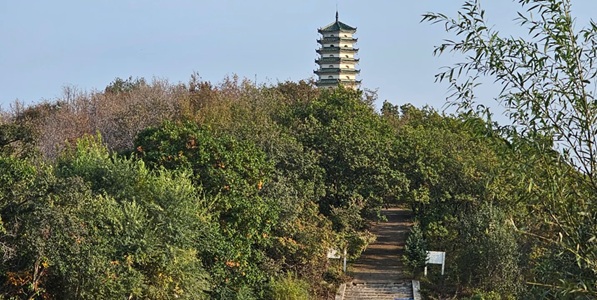 舒兰市凤凰山景观