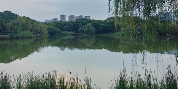 双辽市湿地公园景观