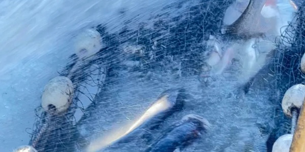 前郭尔罗斯查干湖冬捕