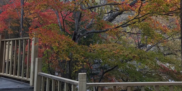 汪清县兰家大峡谷景观