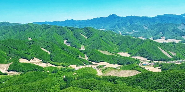 白云山云海景观