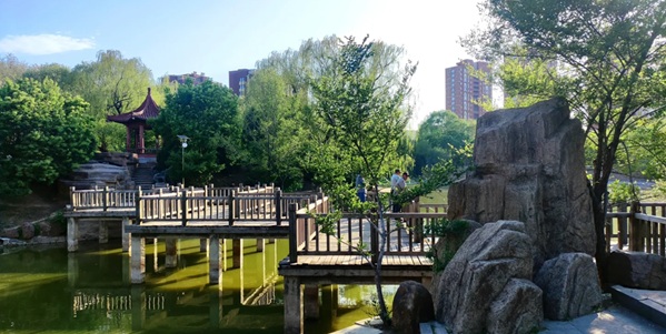 立山公园俯瞰城市景观