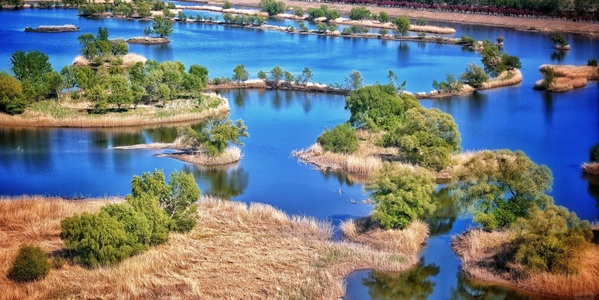 辽河湿地候鸟群飞景观