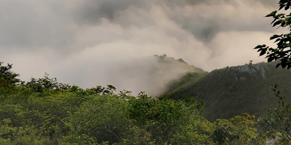 朝阳县凤凰山云海