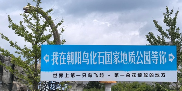 龙城区鸟化石公园景观