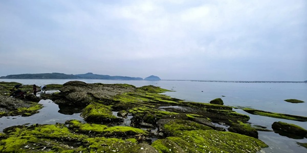 广鹿岛海滨风光