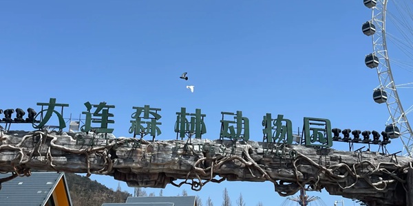 大连森林动物园全景