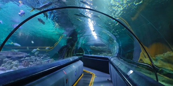皇家海洋乐园海底隧道景观