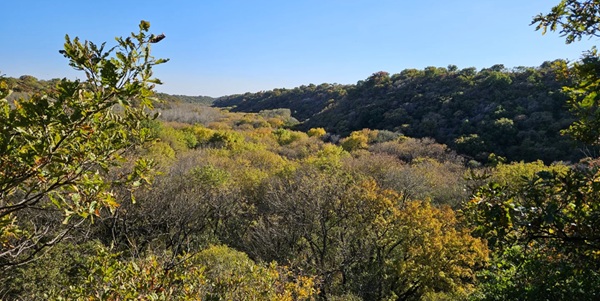 大清沟风景区全景
