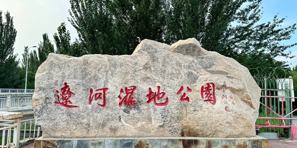 盘锦盘山县辽河口湿地景观