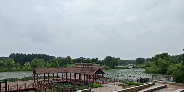 铁岭县莲花湖湿地风光