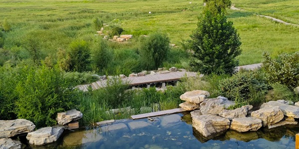 包头九原区赛汗塔拉草原景观