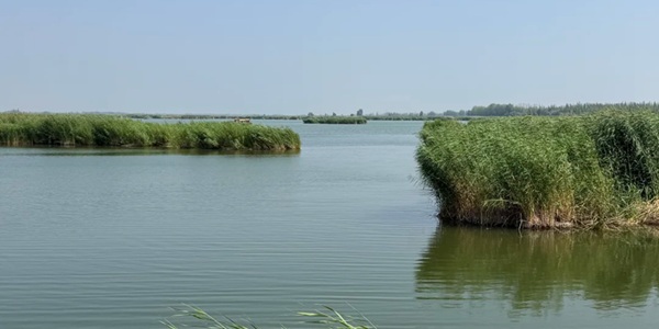 磴口县乌兰布和沙漠与纳林湖景观