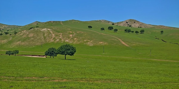阿鲁科尔沁旗草原景观