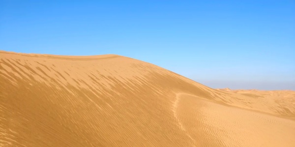 杭锦旗库布齐沙漠全景