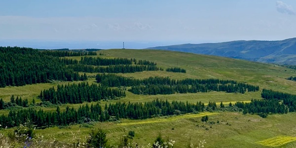 呼和浩特土默特左旗草原景观