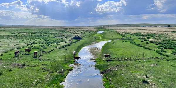 呼和浩特武川县高山草原景观