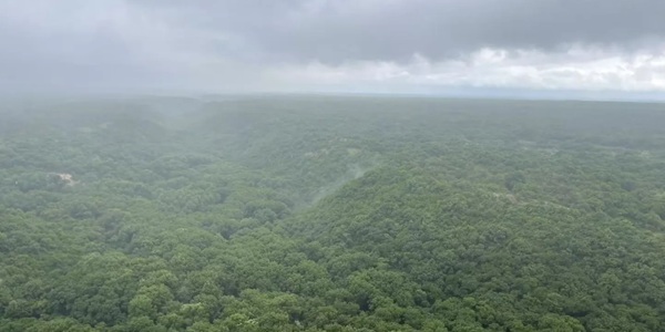 阿荣旗库伦沟林场景观