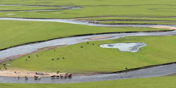 陈巴尔虎旗莫尔格勒河