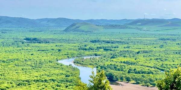 额尔古纳湿地全景