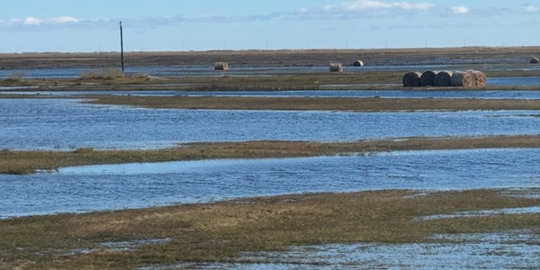新巴尔虎右旗呼伦湖景观