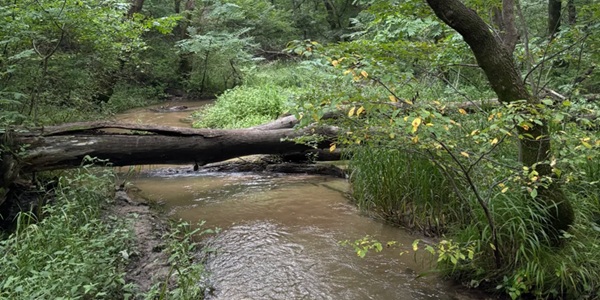 科左后旗大青沟景观