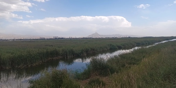 海南区龙游湾湿地景观