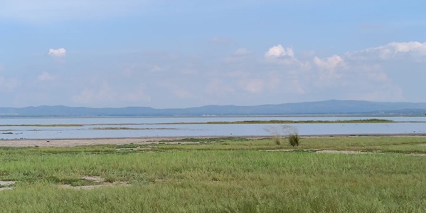 察哈尔右翼前旗黄旗海景观