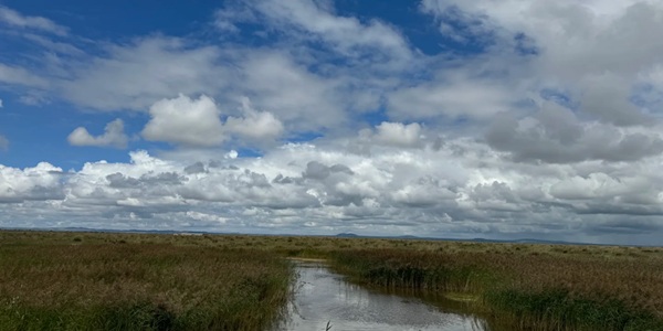 商都县草原湿地景观