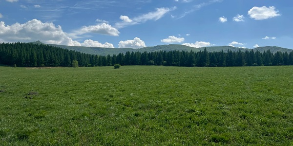 锡林浩特市锡林郭勒草原
