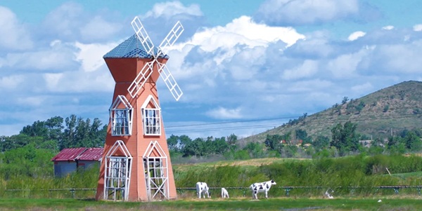 浑善达克沙地中的草原绿洲