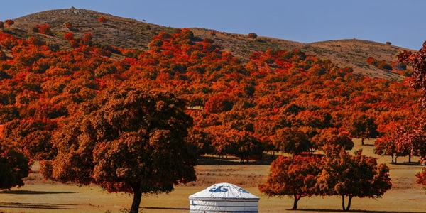 科尔沁右翼中旗代钦塔拉草原
