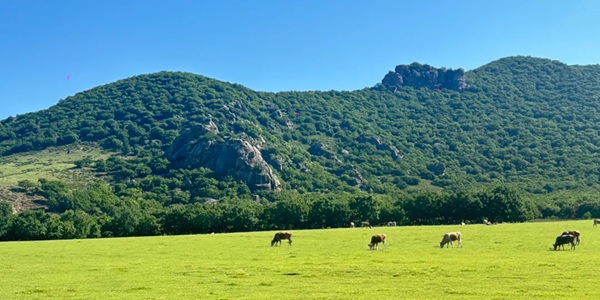 扎赉特旗神山国家森林公园