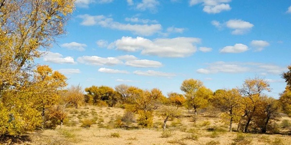 盐池县哈巴湖国家级自然保护区秋季景观